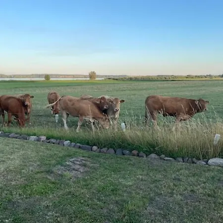 Mit Blick Auf Den Kummerower *